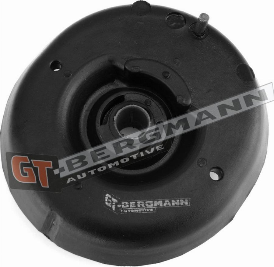 GT-BERGMANN GT25-017