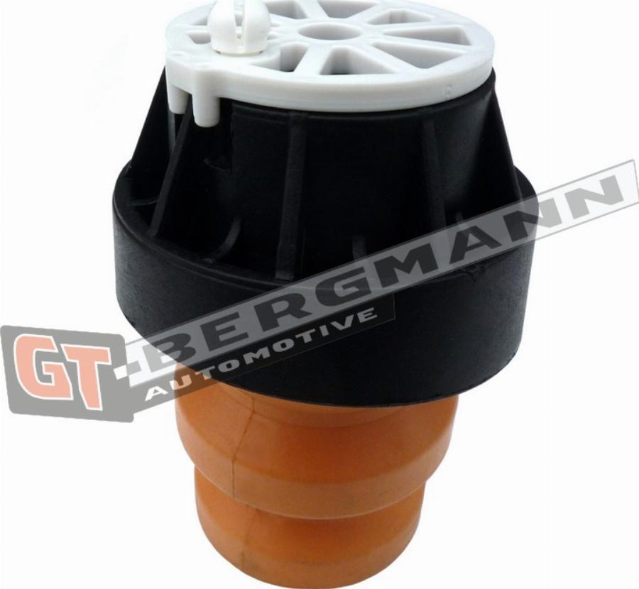GT-BERGMANN GT25-023