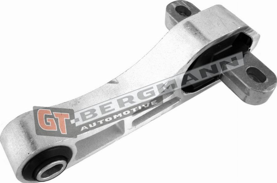 GT-BERGMANN GT25-028