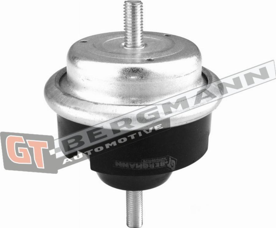 GT-BERGMANN GT25-045