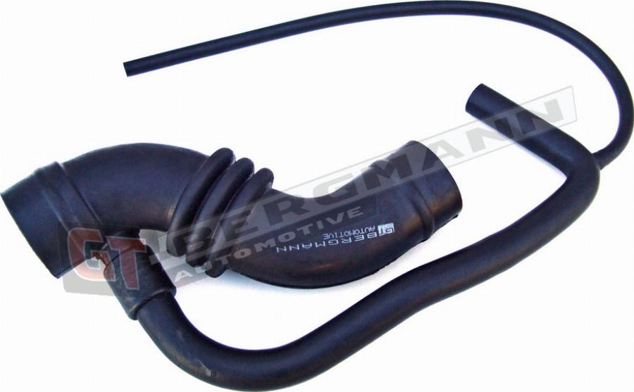GT-BERGMANN GT52-021