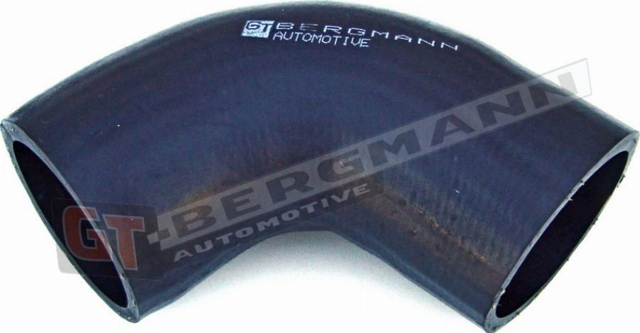 GT-BERGMANN GT52-029