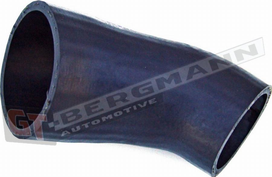 GT-BERGMANN GT52-031