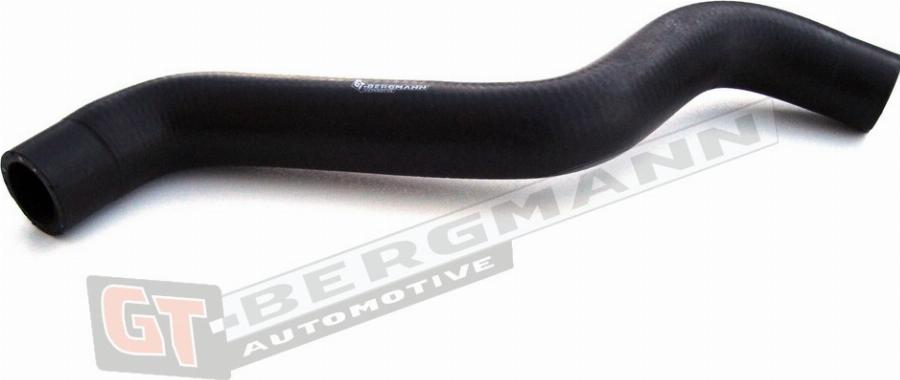 GT-BERGMANN GT52-139