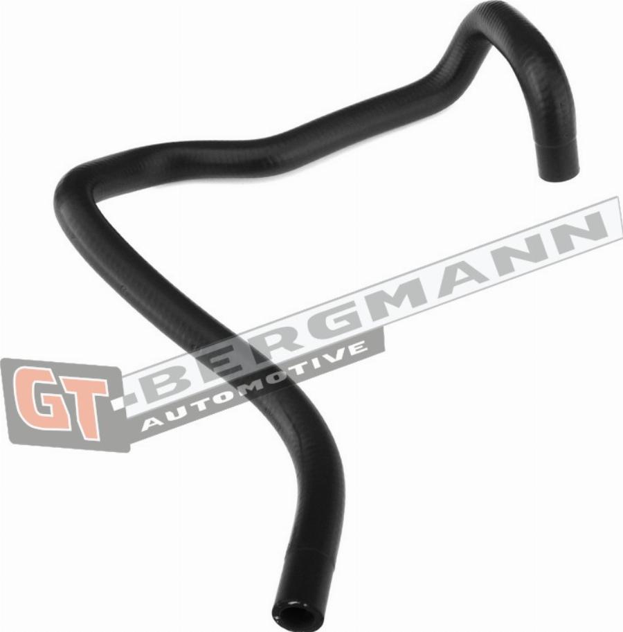 GT-BERGMANN GT52-205