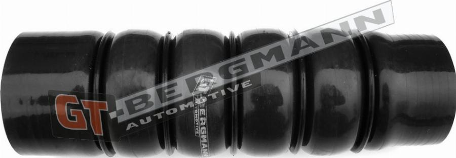 GT-BERGMANN GT52-211