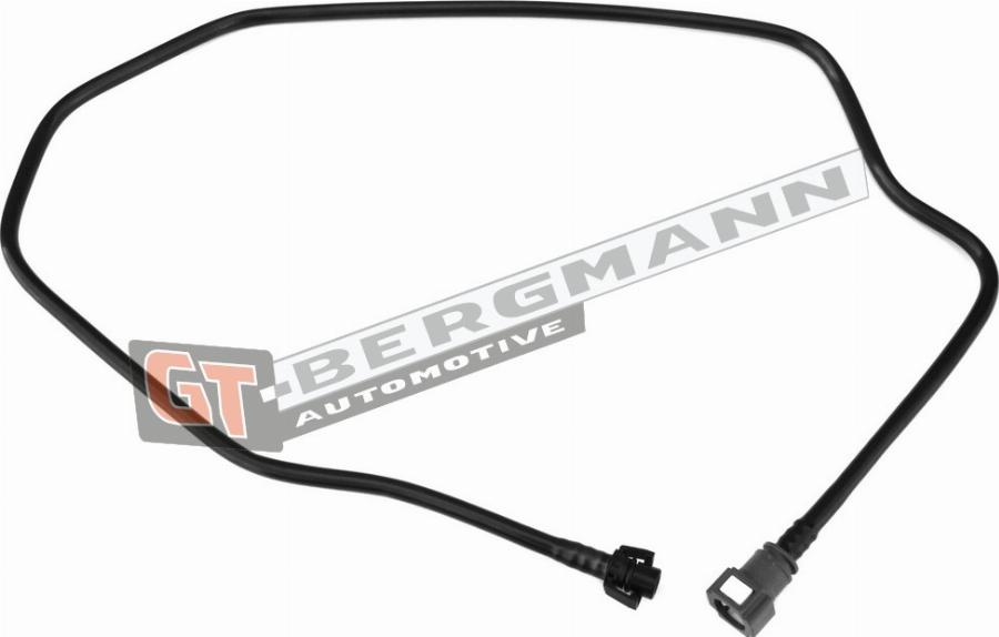 GT-BERGMANN GT52-215