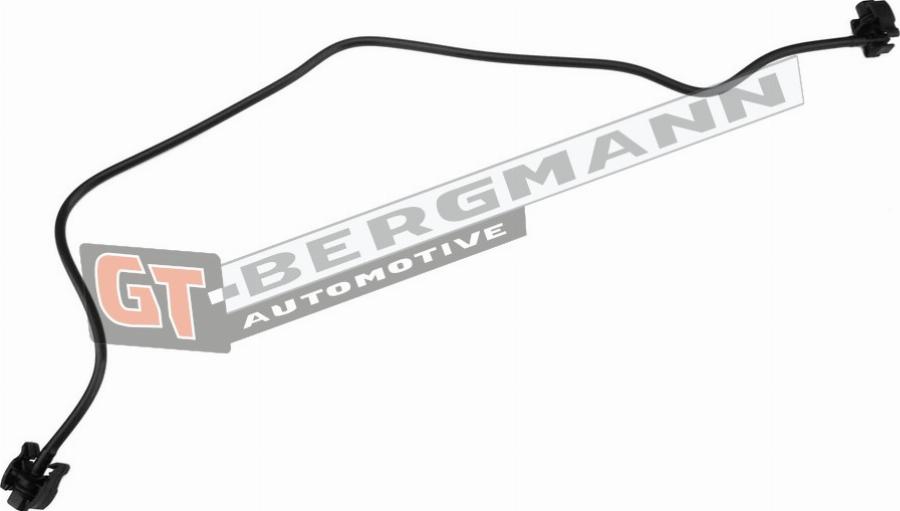 GT-BERGMANN GT52-216