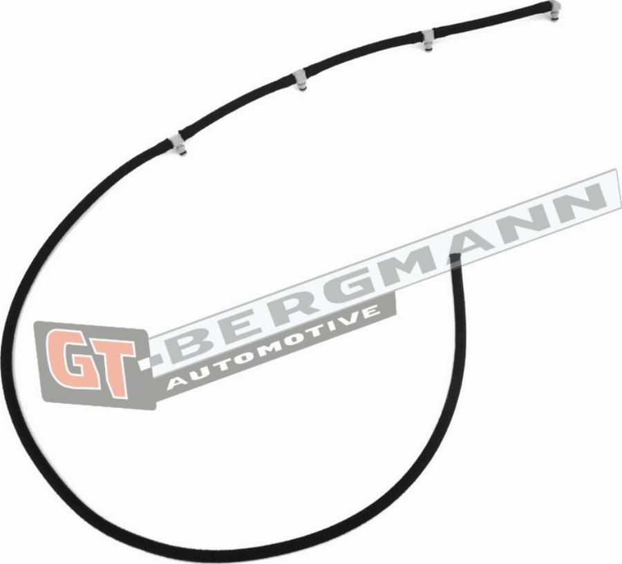 GT-BERGMANN GT52-218