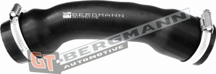GT-BERGMANN GT52-231