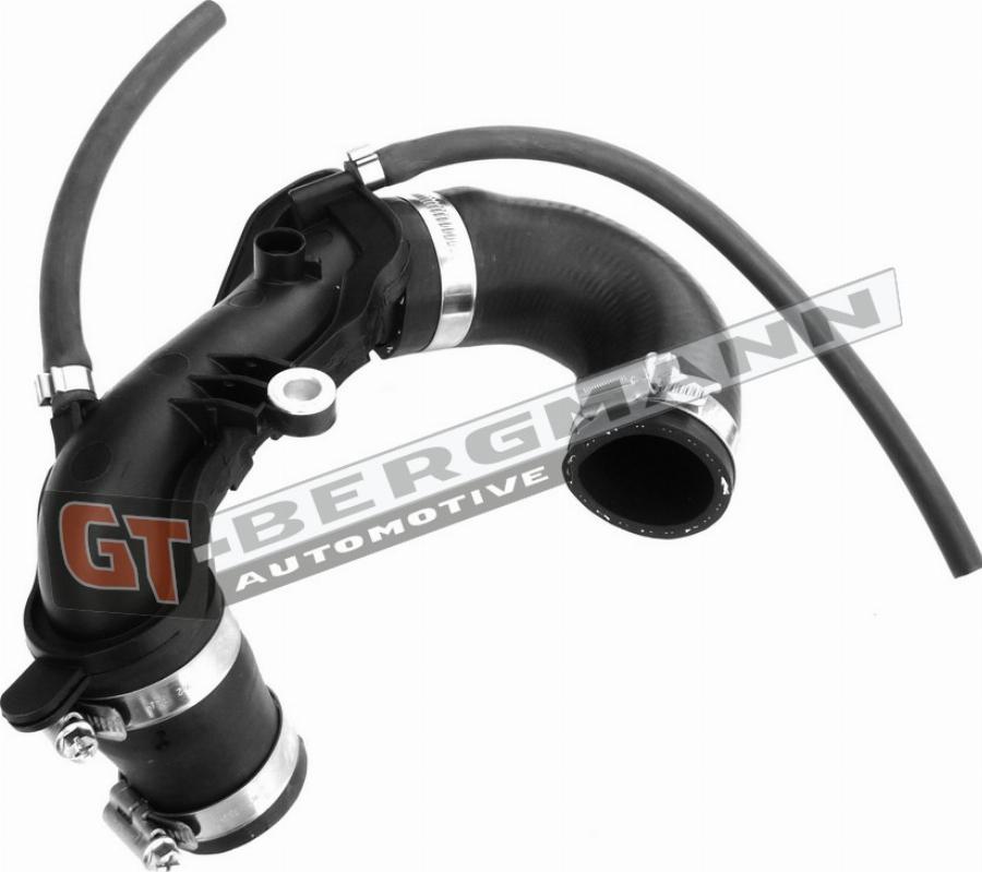 GT-BERGMANN GT52-250 - Pūtes sistēmas gaisa
