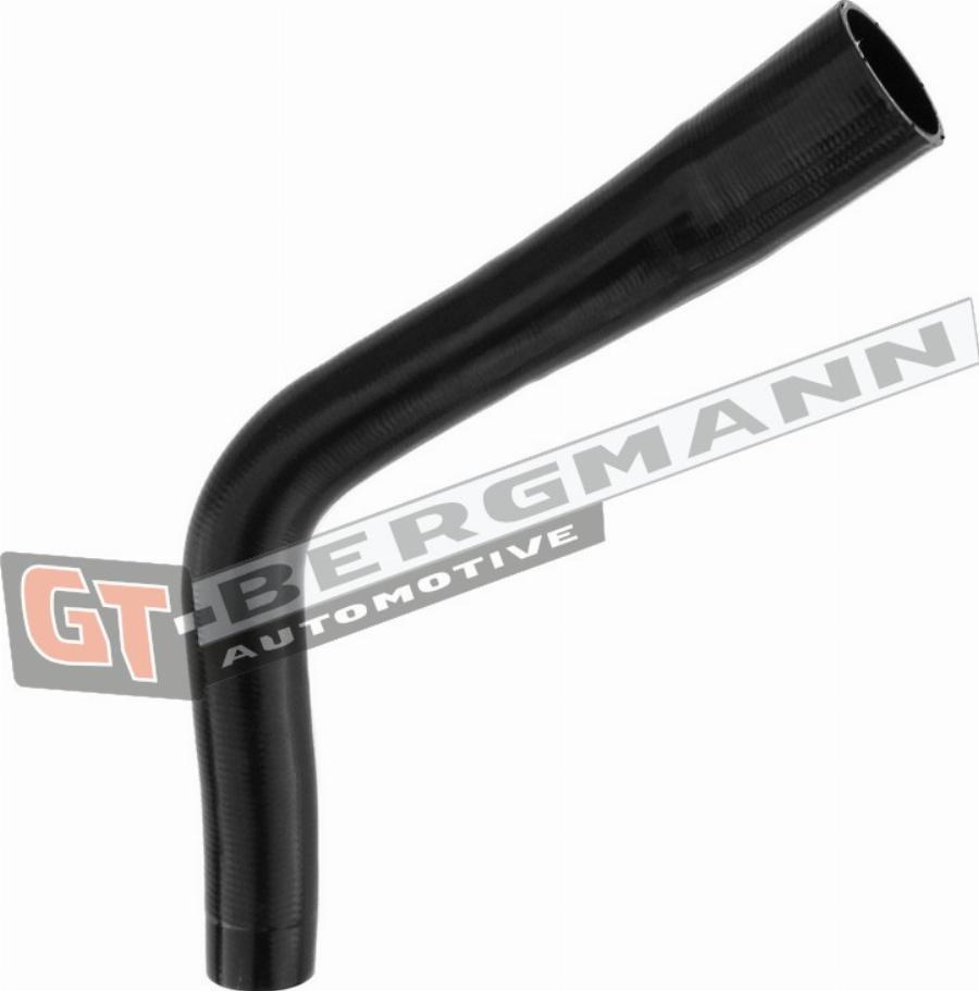 GT-BERGMANN GT52-271