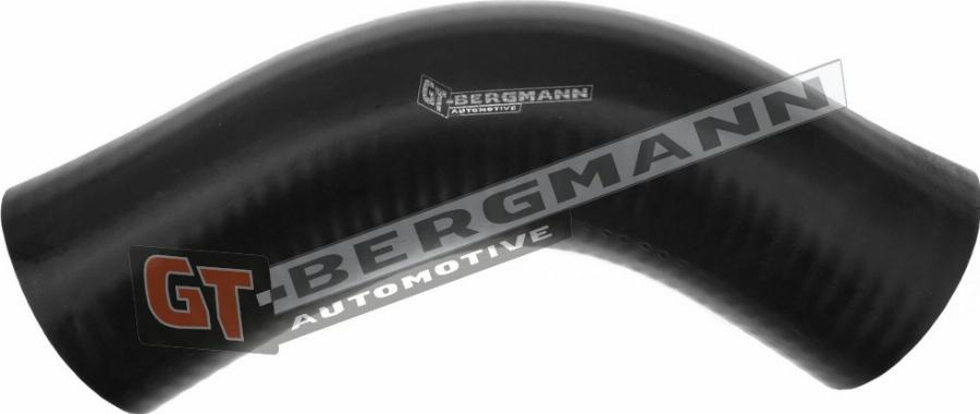GT-BERGMANN GT52-287