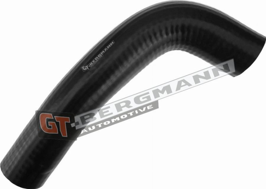 GT-BERGMANN GT52-291