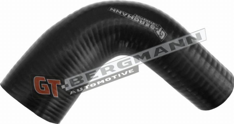 GT-BERGMANN GT52-293
