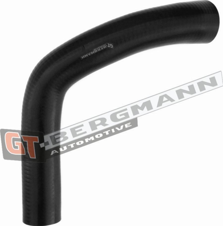 GT-BERGMANN GT52-294