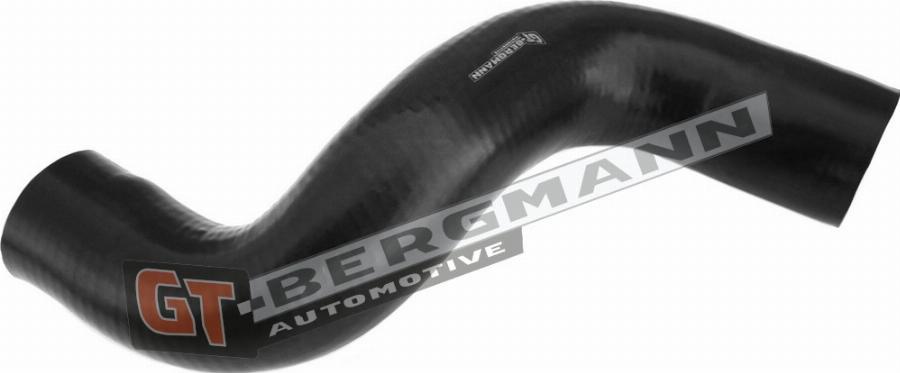 GT-BERGMANN GT52-295