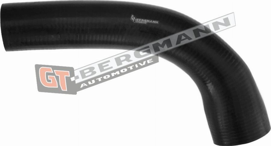 GT-BERGMANN GT52-311