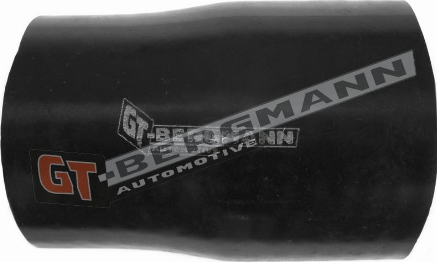 GT-BERGMANN GT52-321 - Pūtes sistēmas gaisa