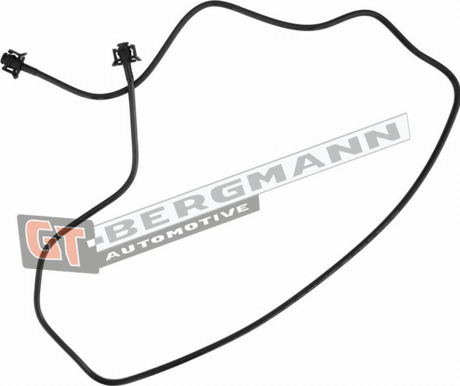 GT-BERGMANN GT52-343