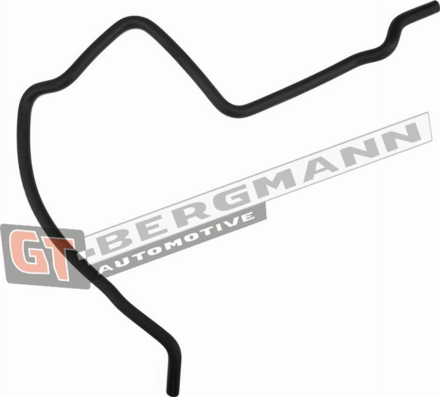 GT-BERGMANN GT52-353