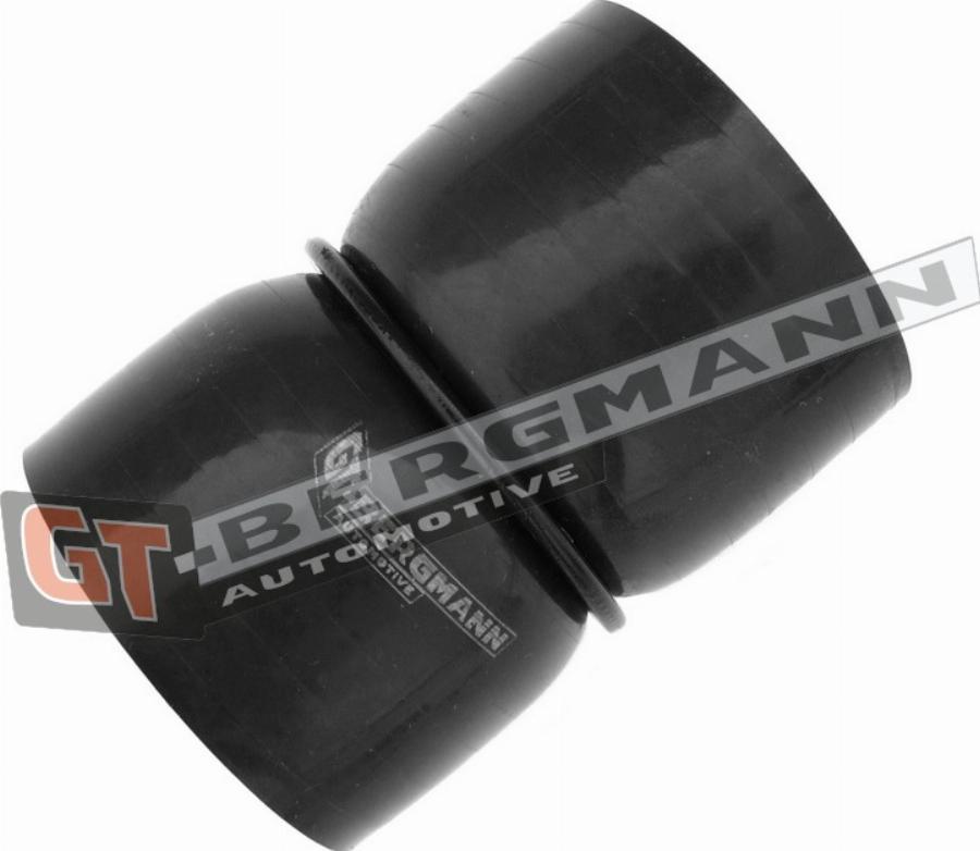 GT-BERGMANN GT52-408 - Pūtes sistēmas gaisa