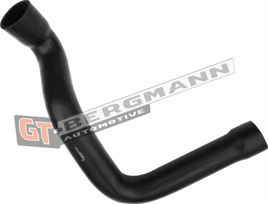 GT-BERGMANN GT52-418