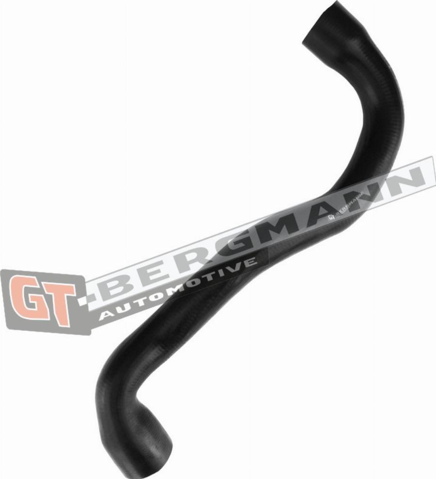 GT-BERGMANN GT52-435 - Pūtes sistēmas gaisa