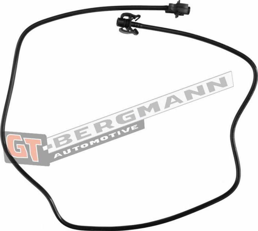 GT-BERGMANN GT52-483