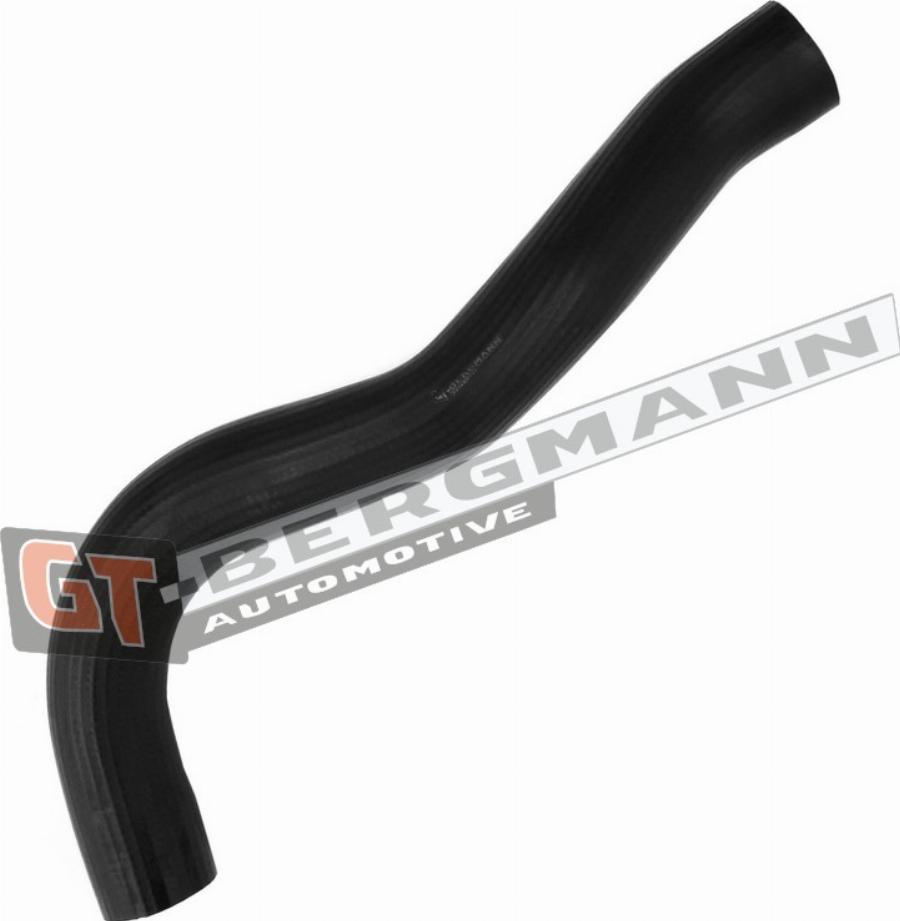 GT-BERGMANN GT52-524
