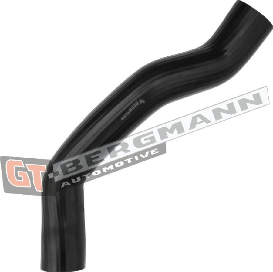 GT-BERGMANN GT52-538 - Pūtes sistēmas gaisa