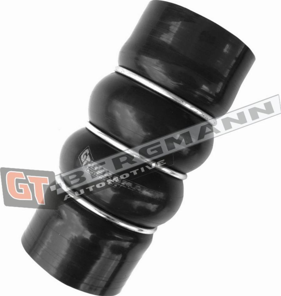 GT-BERGMANN GT52-539