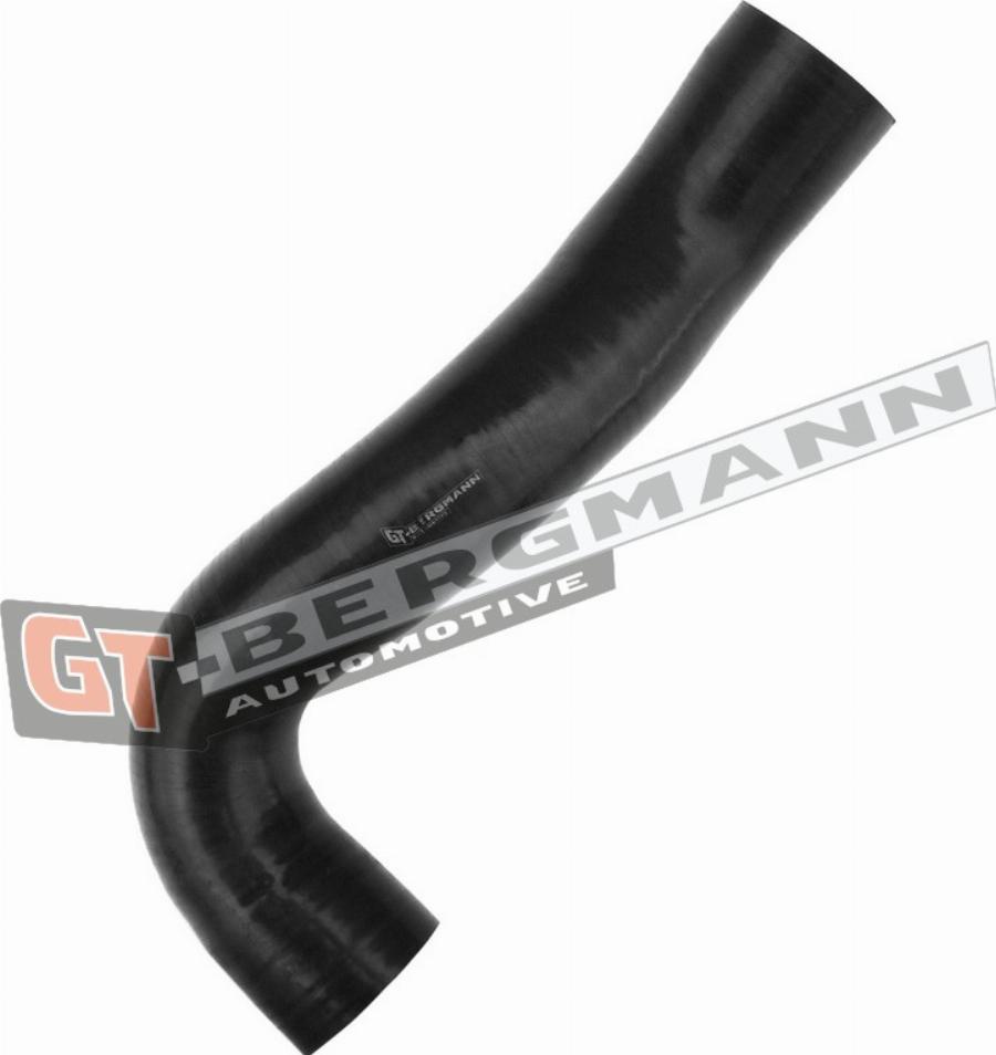 GT-BERGMANN GT52-568 - Pūtes sistēmas gaisa