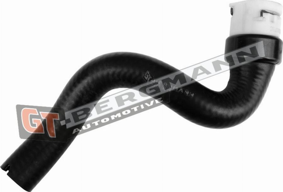 GT-BERGMANN GT52-578