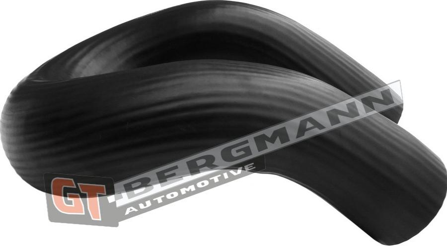 GT-BERGMANN GT52-604