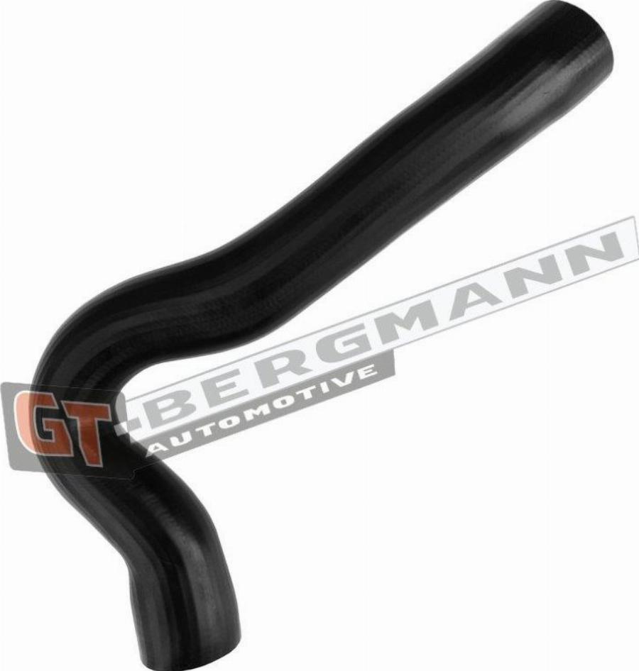 GT-BERGMANN GT52-658