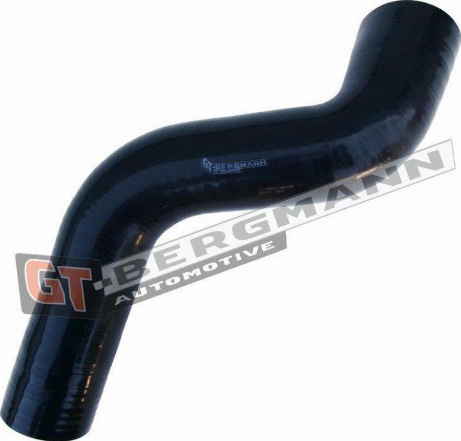 GT-BERGMANN GT52-667