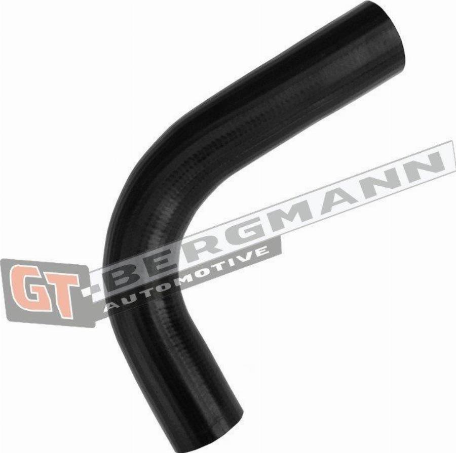 GT-BERGMANN GT52-677