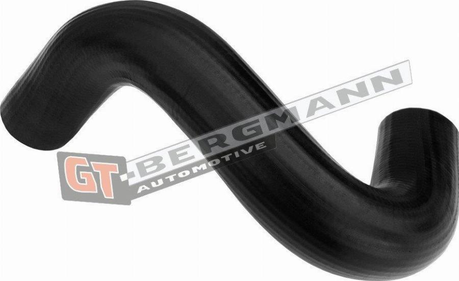 GT-BERGMANN GT52-684