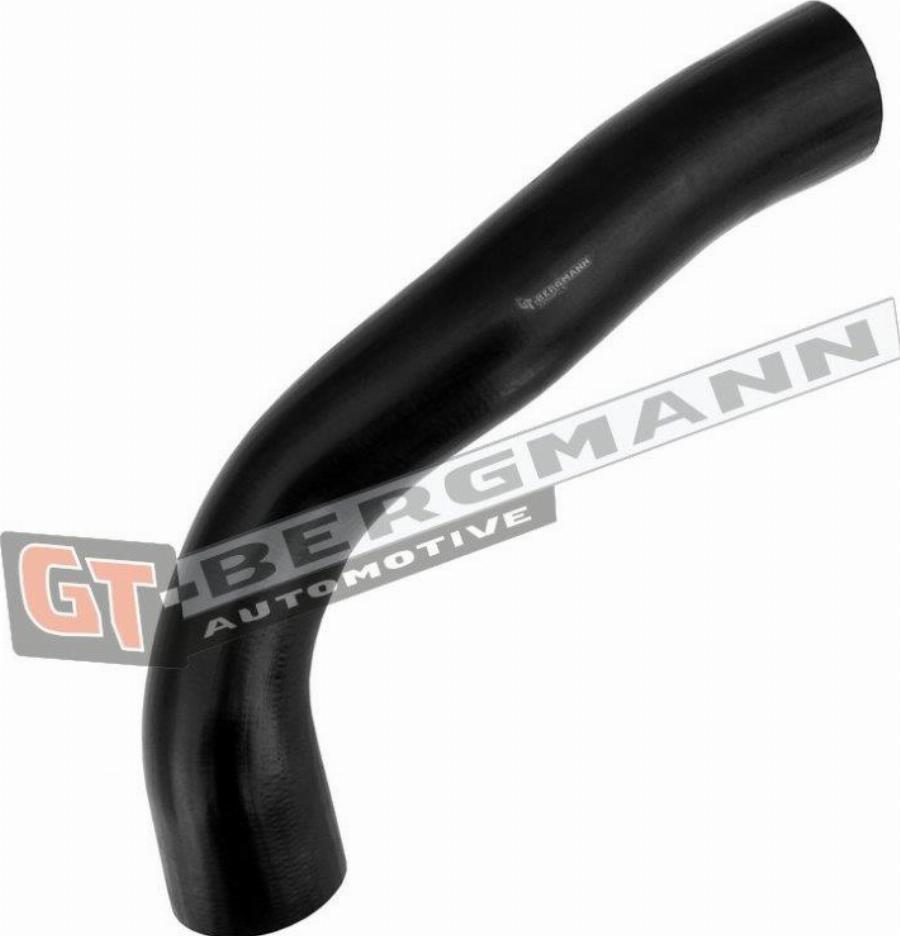 GT-BERGMANN GT52-695