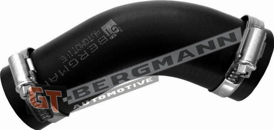 GT-BERGMANN GT52-719
