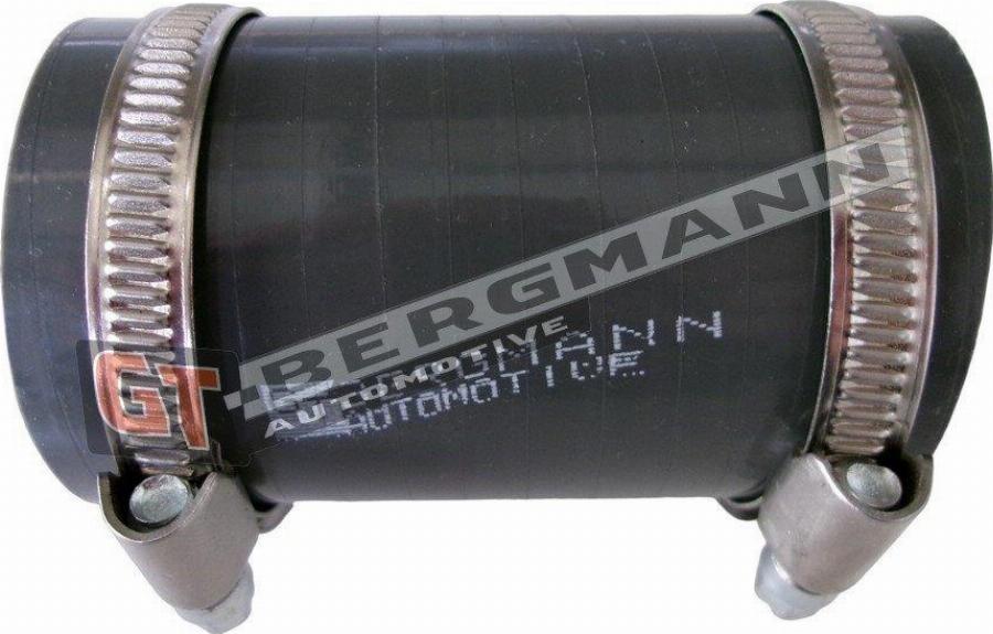 GT-BERGMANN GT52-776