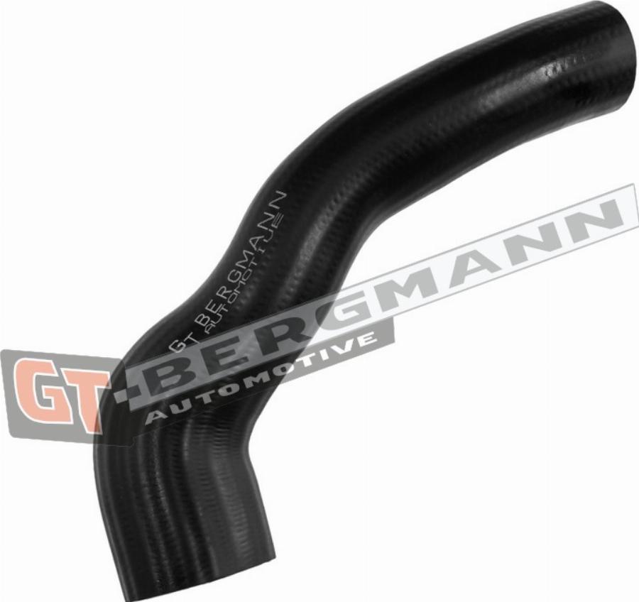 GT-BERGMANN GT52-782