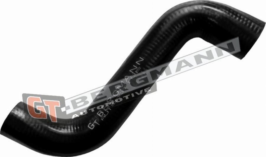 GT-BERGMANN GT52-804