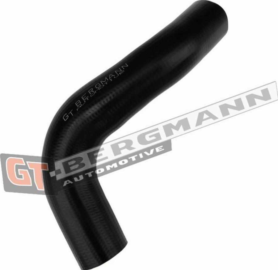 GT-BERGMANN GT52-839