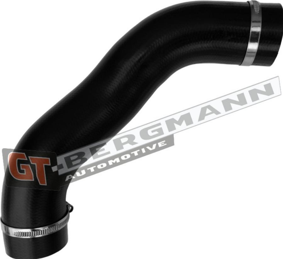 GT-BERGMANN GT52-842