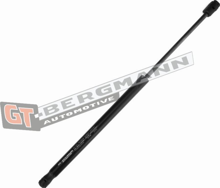 GT-BERGMANN GT72-009