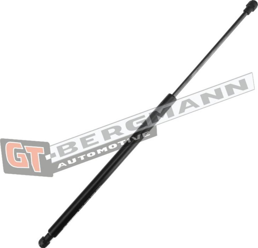 GT-BERGMANN GT72-011