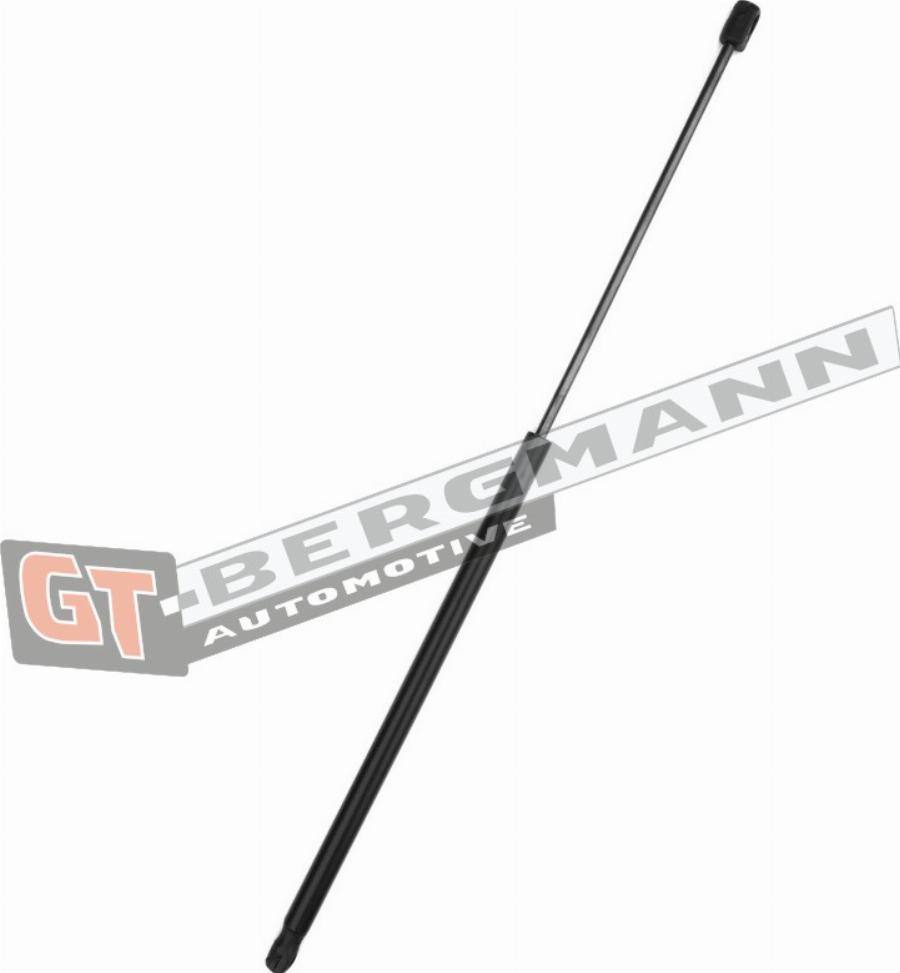 GT-BERGMANN GT72-027