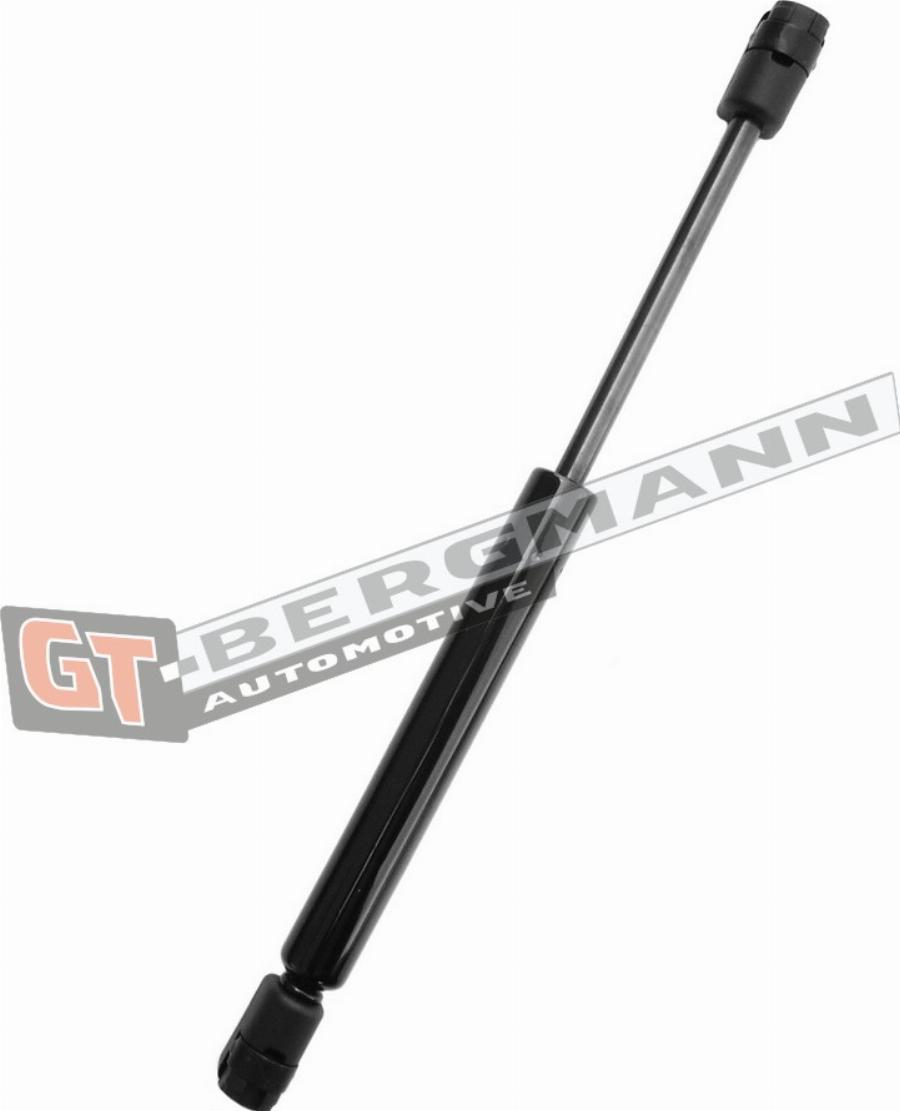GT-BERGMANN GT72-028